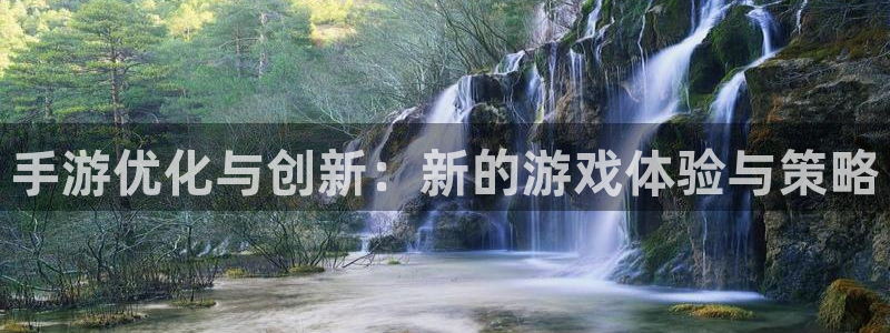 大神28预测网站