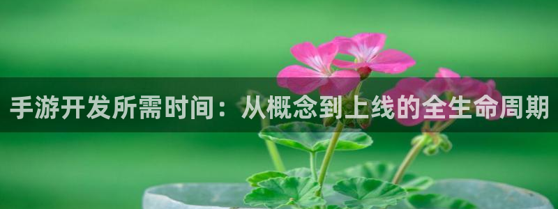 大神28ios下载：手游开发所需时间：从概念到上线的全生命周