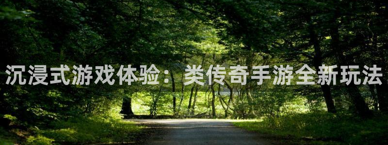 大神28官网预测：沉浸式游戏体验：类传奇手游全新玩法