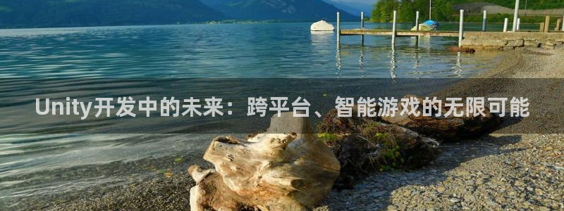大神28杀最厉害三个组合是谁：Unity开发中的未来：跨平台