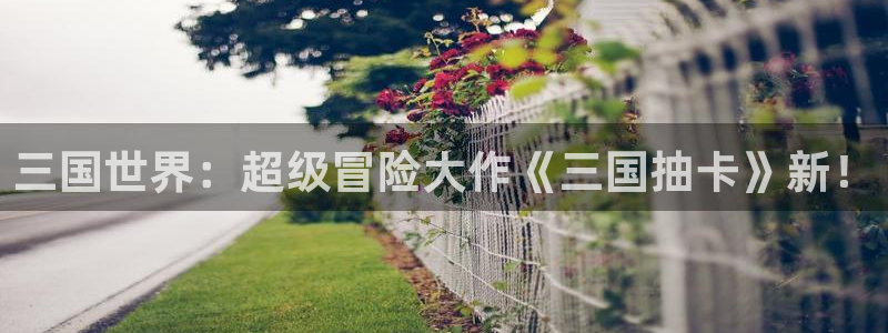 大神28报数：三国世界：超级冒险大作《三国抽卡》新！