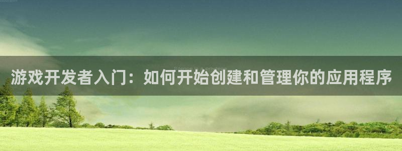 28大神吧怎么进不去了：游戏开发者入门：如何开始创建和管理你