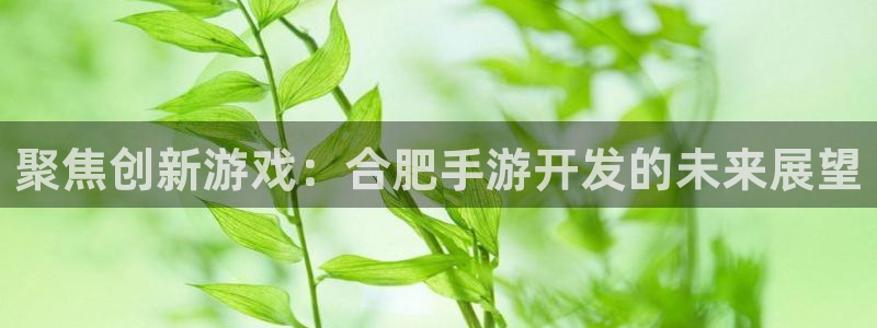 大神28大发28：聚焦创新游戏：合肥手游开发的未来展望