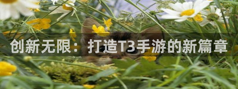 28大神官方网站手机版：创新无限：打造T3手游的新篇章