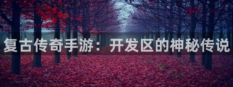 28大神预测软件北京：复古传奇手游：开发区的神秘传说