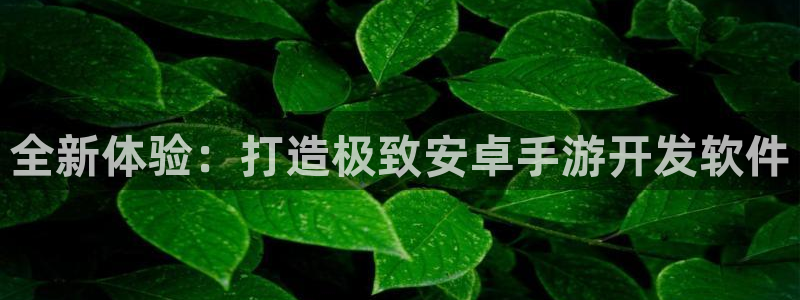 大神28间隔数据：全新体验：打造极致安卓手游开发软件