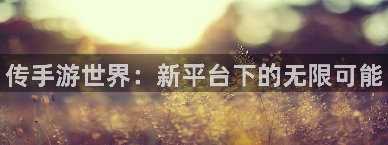 大神28开奖结果：传手游世界：新平台下的无限可能