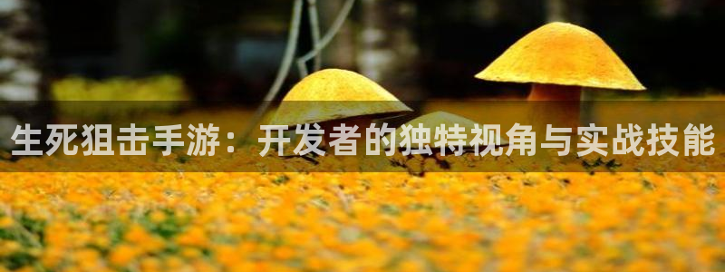 28大神加拿大：生死狙击手游：开发者的独特视角与实战技能